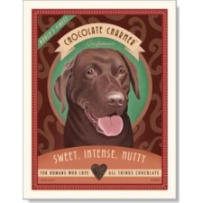 Dog Chocolate Labrador - Chocolate Charmer